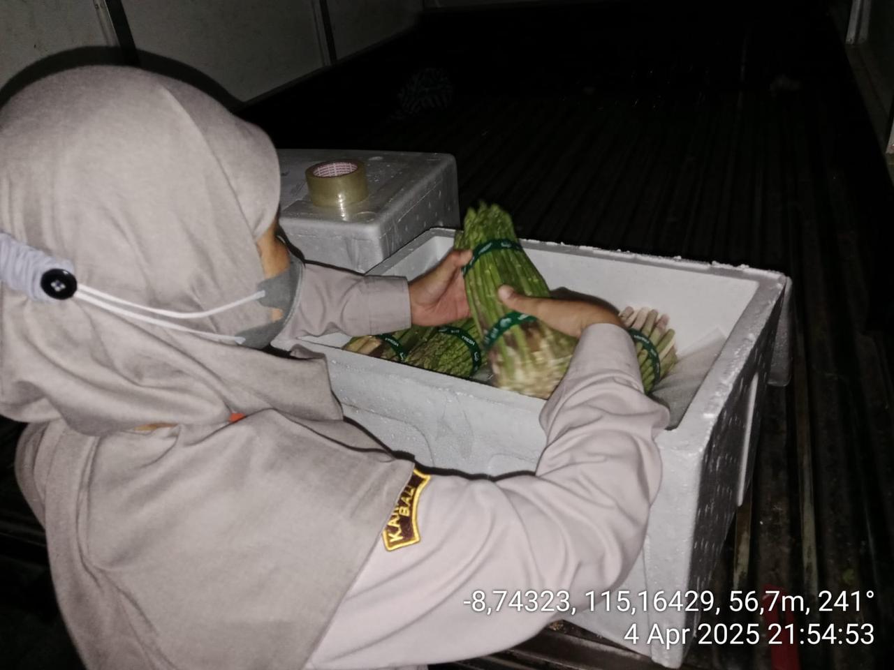 Karantina Tumbuhan